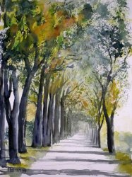 2009-12 allee auf ruegen